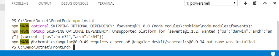 npm install a specific version